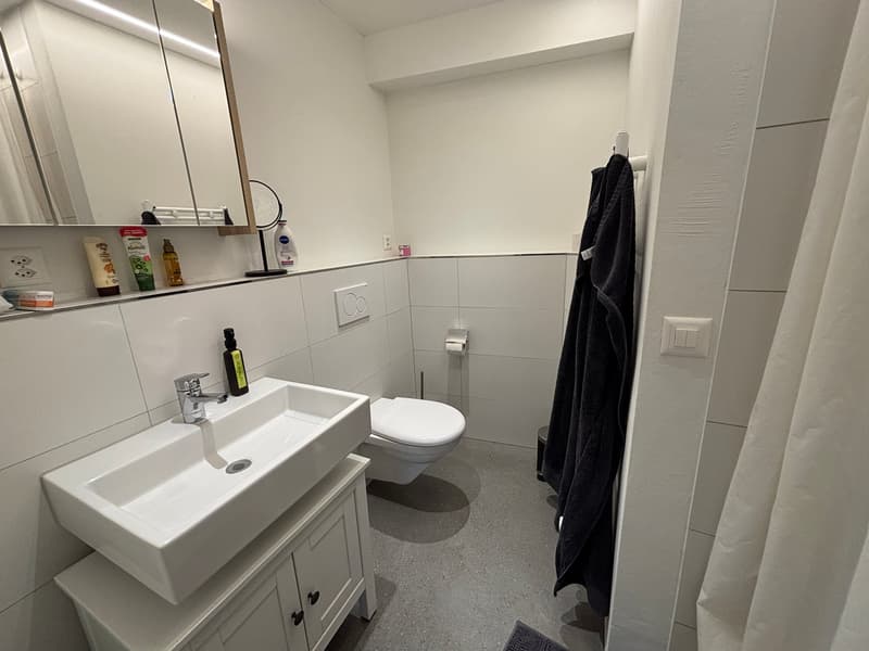 3-Familienhaus am Dorfbach (8)