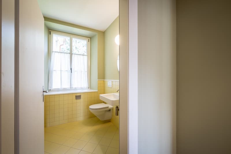 Einzigartige 5.5-Zimmer-Maisonettewohnung (13)