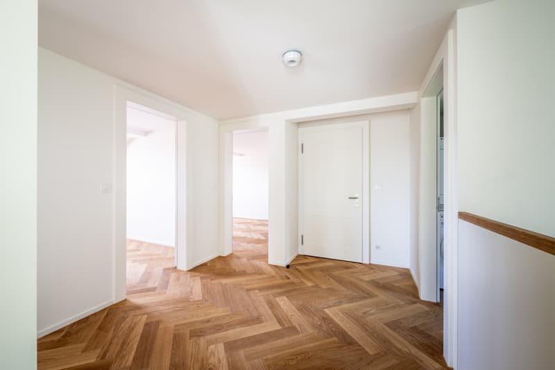 Einzigartige 5.5-Zimmer-Maisonettewohnung (9)
