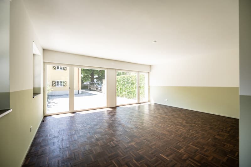 Einzigartiges Duplex-Wohnatelier mit Eigenheimcharakter (2)