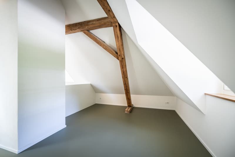 Einzigartiges Duplex-Wohnatelier mit Eigenheimcharakter (6)