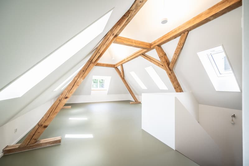 Einzigartiges Duplex-Wohnatelier mit Eigenheimcharakter (5)