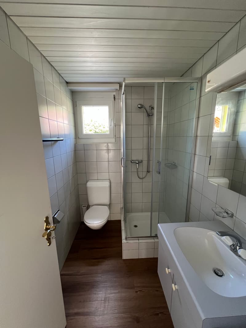 Grosszügige 4.5-Zimmer-Dachwohnung mit Riesenterrasse (11)