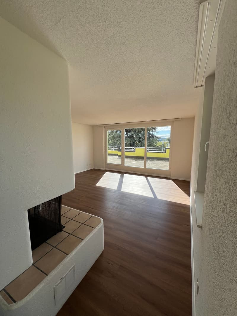 Grosszügige 4.5-Zimmer-Dachwohnung mit Riesenterrasse (2)
