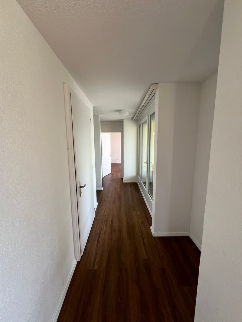 Grosszügige 4.5-Zimmer-Dachwohnung mit Riesenterrasse (14)