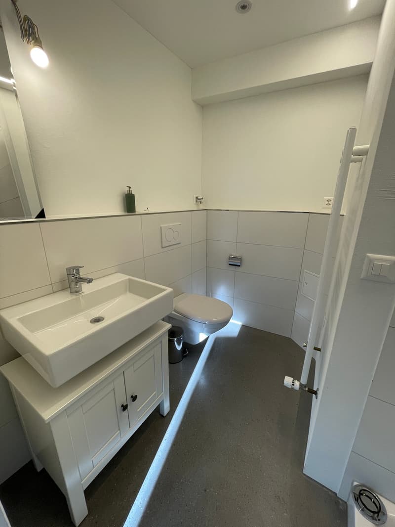 3.5 Zimmerwohnung in der ehemaligen 'Oeschbrücke' (4)