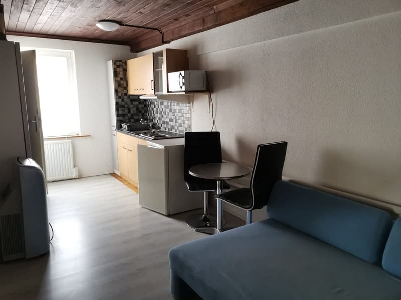 Zentralgelegene, möblierte Studios ab CHF 490.00 (2)