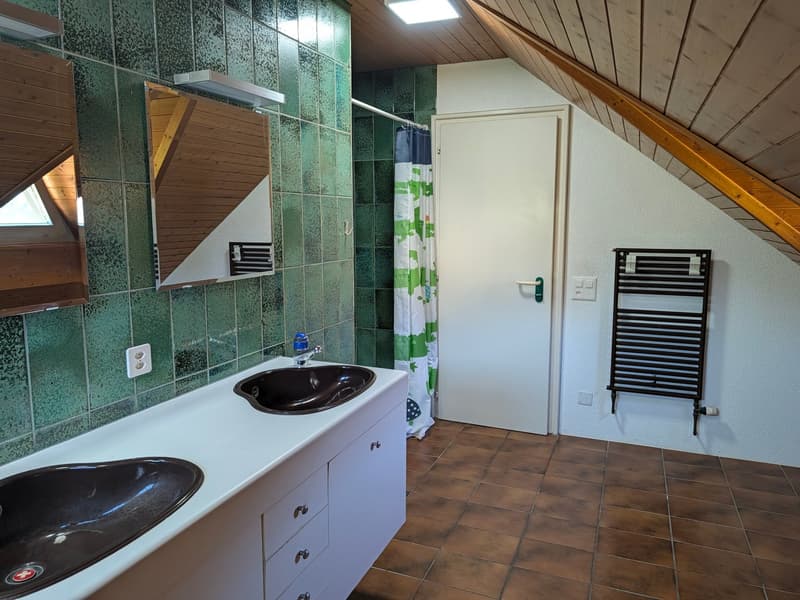 Grosszügiges Einfamilienhaus mit Pool und Doppelgarage (12)