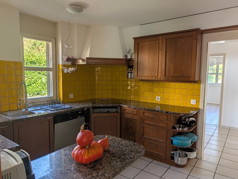 Grosszügiges Einfamilienhaus mit Pool und Doppelgarage (6)