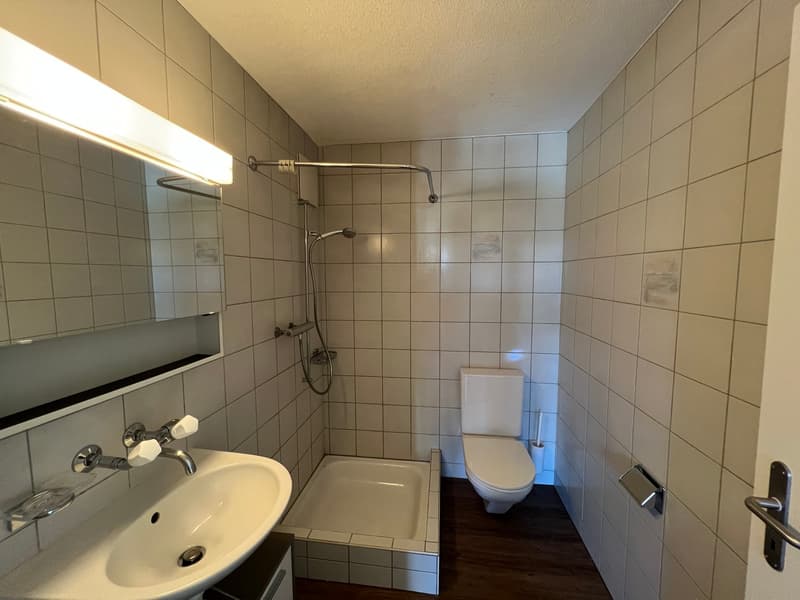 Grosszügige 4.5-Zimmer-Wohnung mit Cheminée (12)
