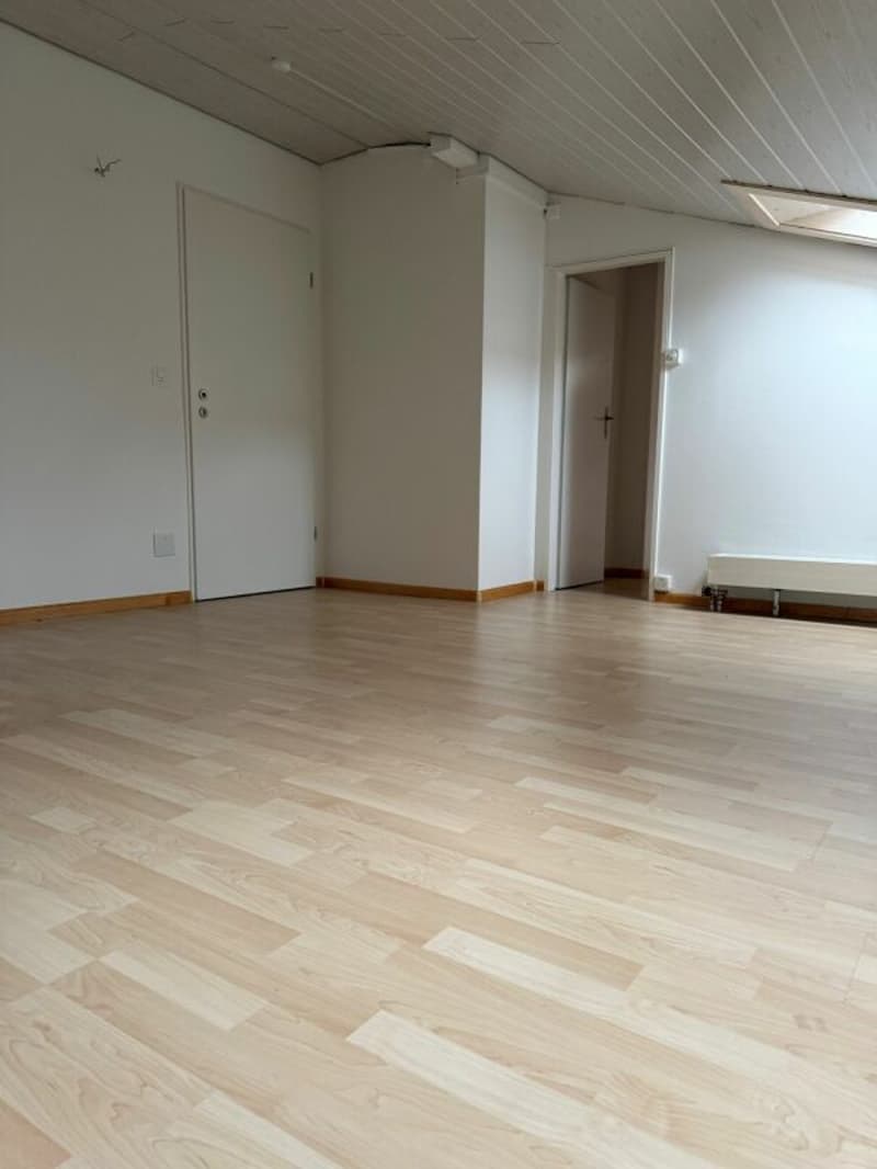 Atelier molto spazioso vicino al centro del villaggio (7)