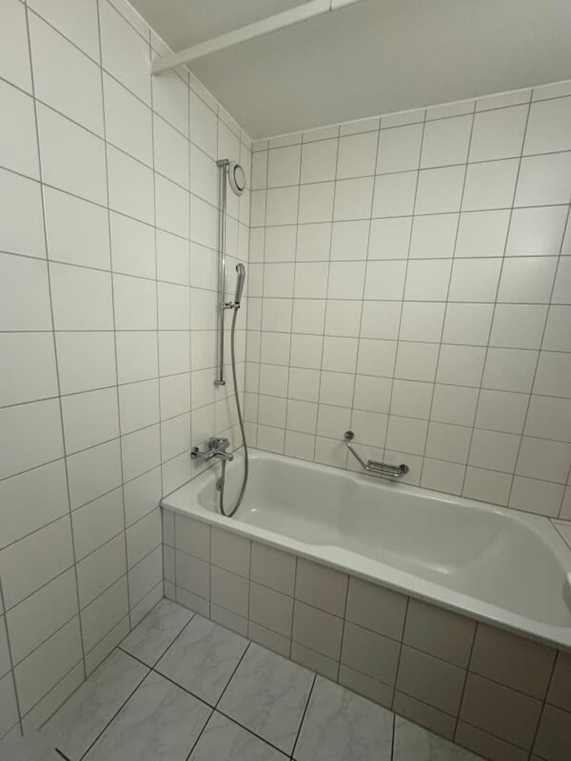 3.5-Room Penthouse Apartment in the Heart of Reinach (11)