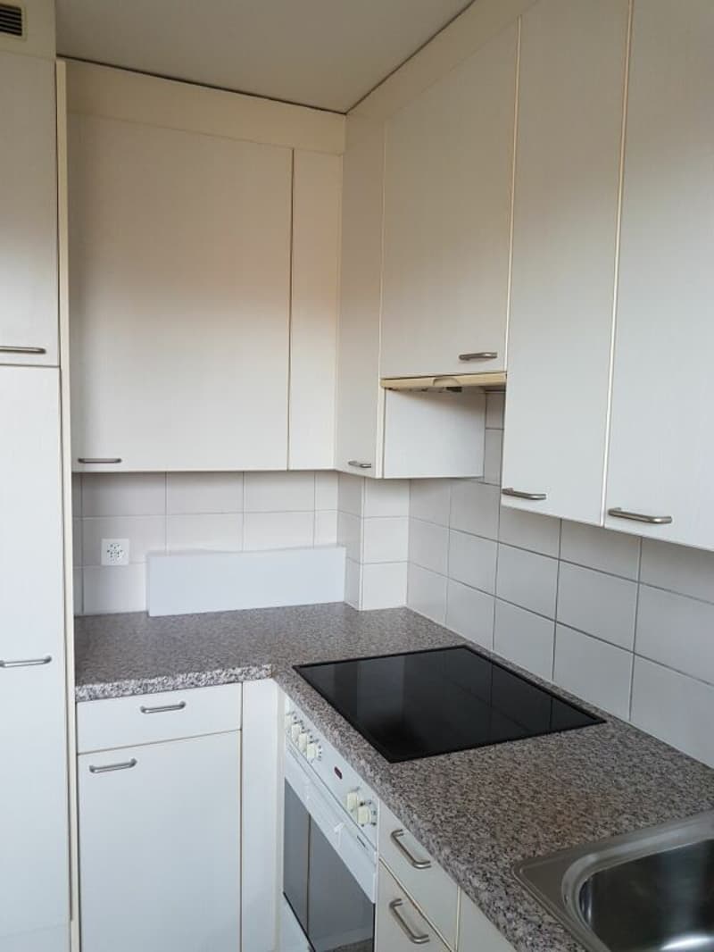 Gemütliche 3-Zimmerwohnung Nähe Landhof in Reinach zu vermieten! (2)