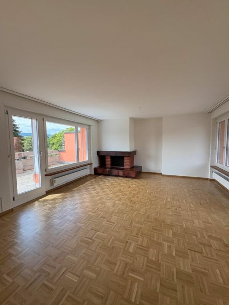 Penthouse apartment in the middle of Reinach with a chimney (5)