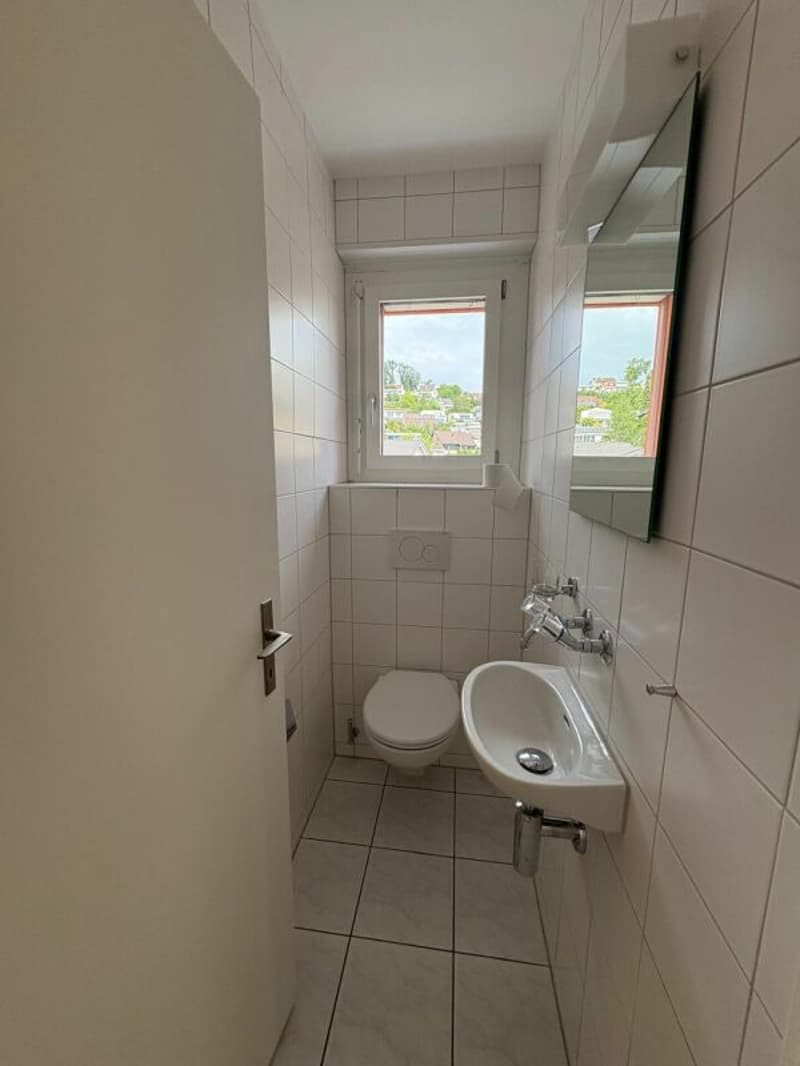 Penthouse apartment in the middle of Reinach with a chimney (9)