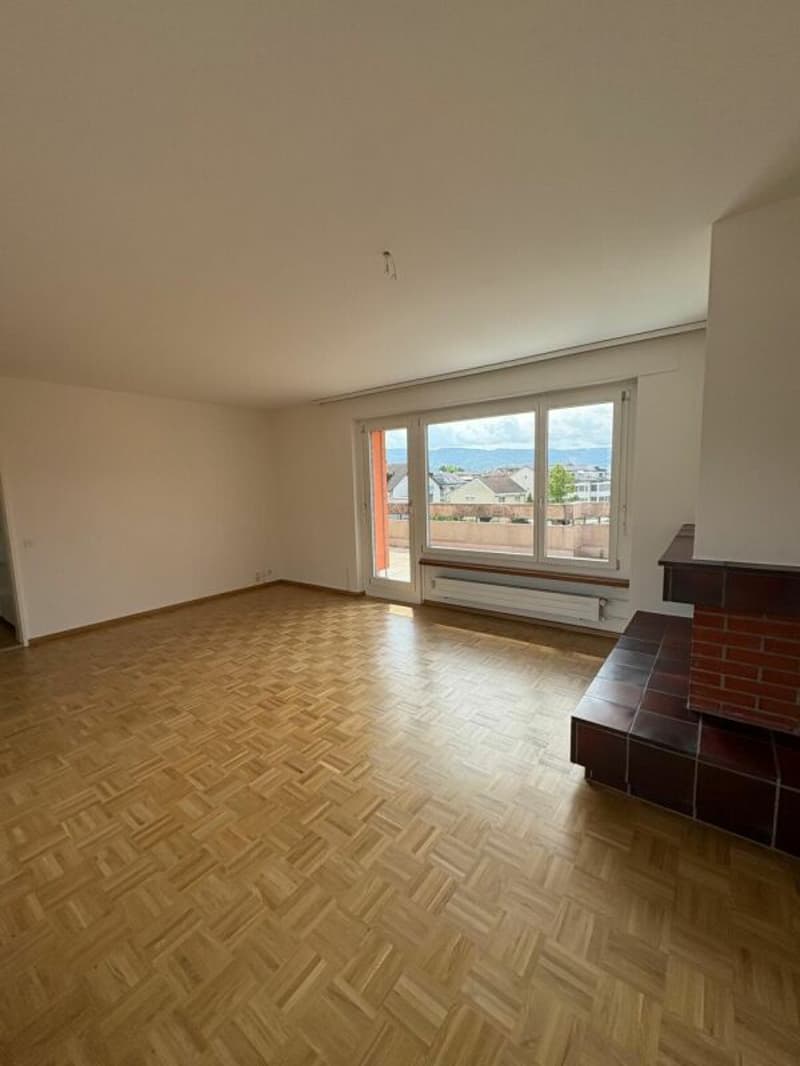 Penthouse apartment in the middle of Reinach with a chimney (6)