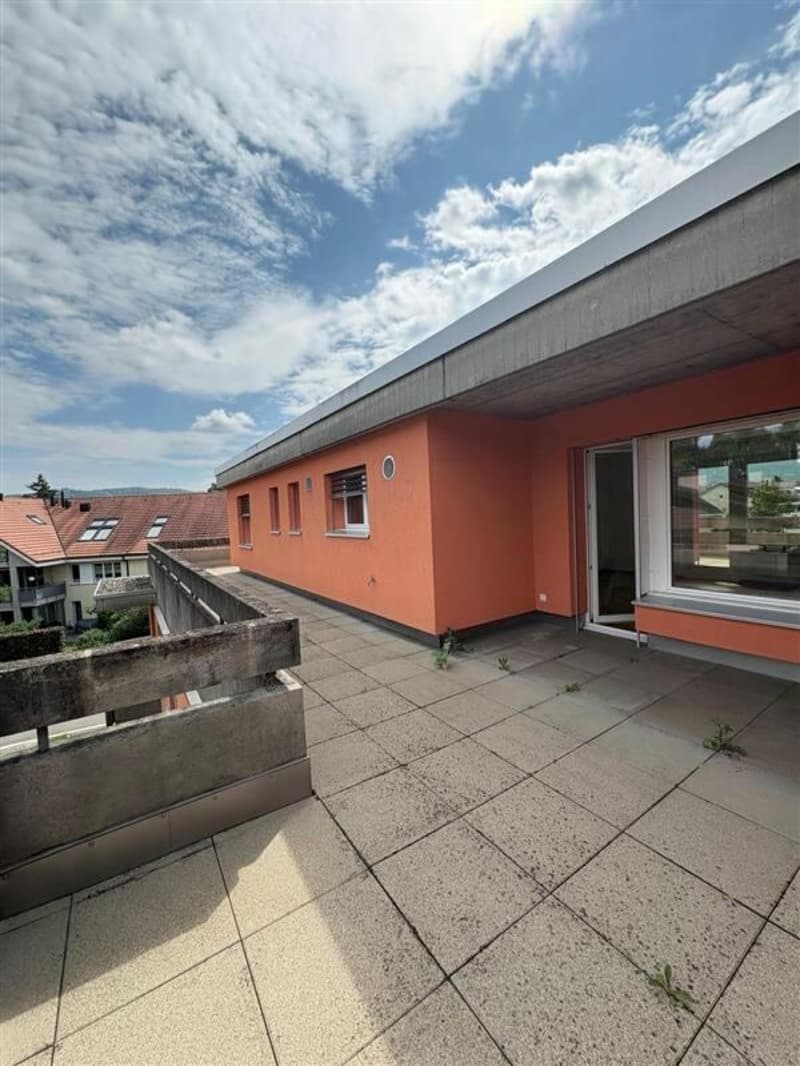 Penthouse apartment in the middle of Reinach with a chimney (3)