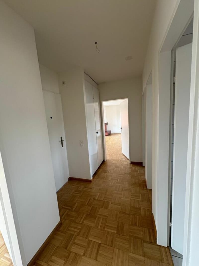 Appartement avec terrasse sur le toit au milieu de Reinach avec cheminée (12)