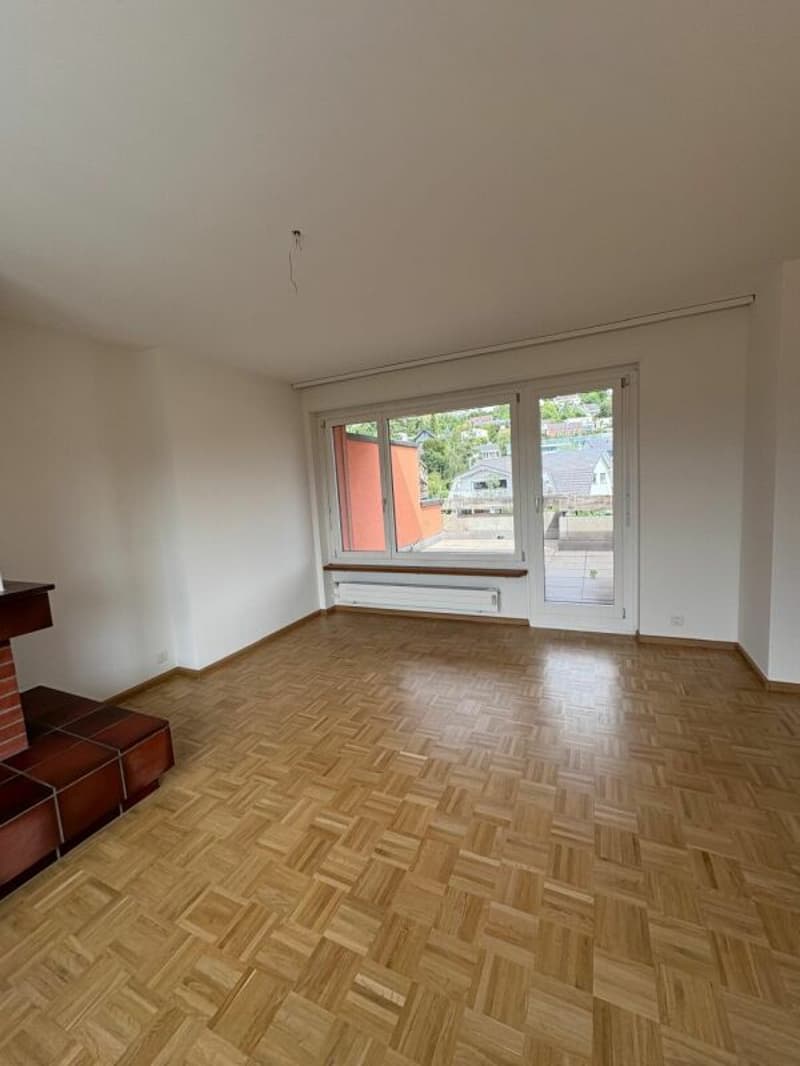 Appartement avec terrasse sur le toit au milieu de Reinach avec cheminée (7)