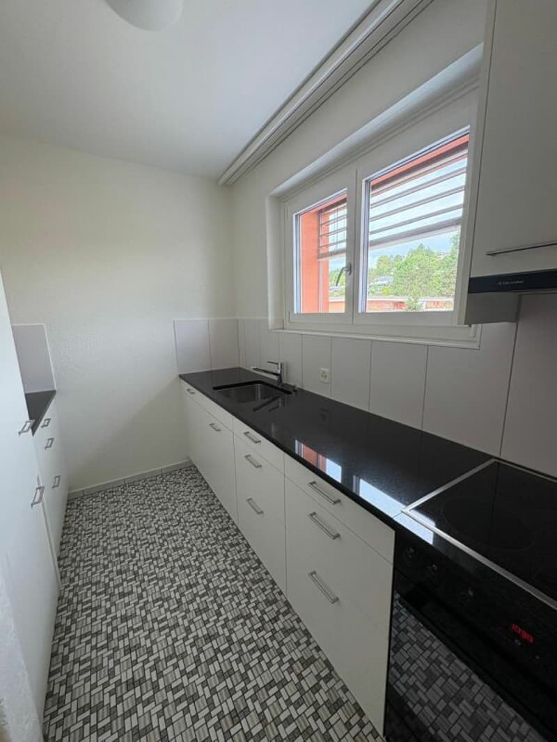 Appartement avec terrasse sur le toit au milieu de Reinach avec cheminée (4)