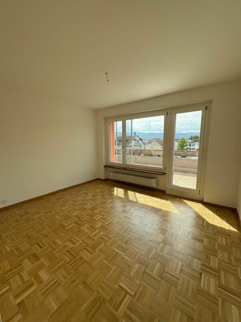 Appartement avec terrasse sur le toit au milieu de Reinach avec cheminée (10)