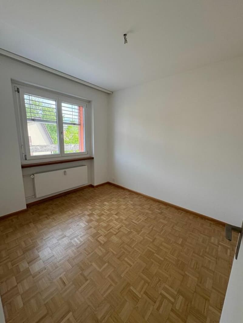 Appartamento con terrazza sul tetto in mezzo a Reinach con caminetto (11)