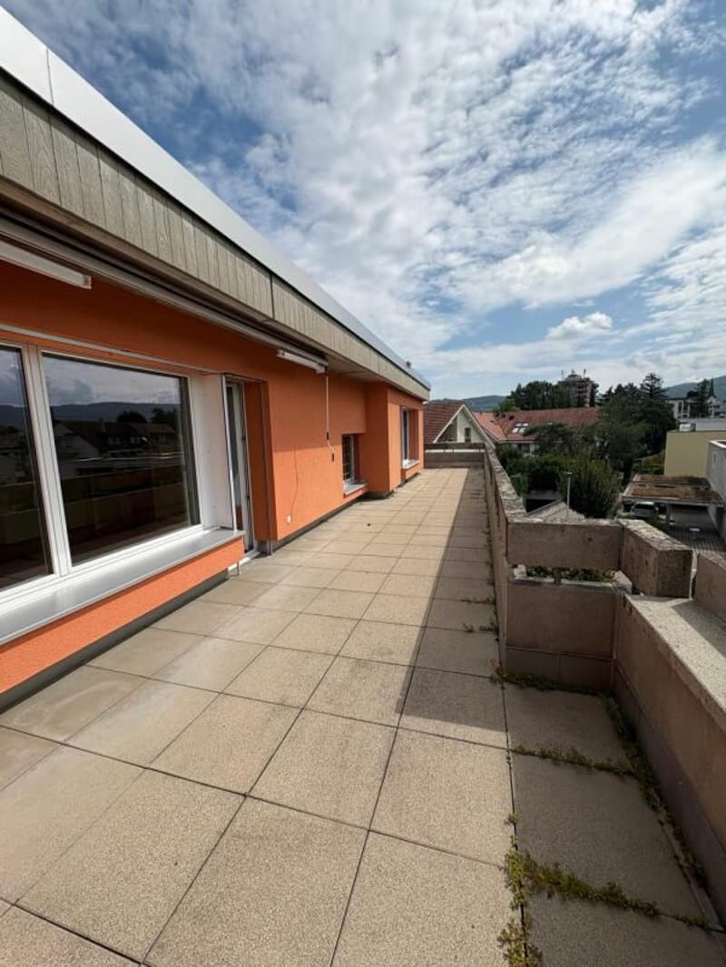 Appartamento con terrazza sul tetto in mezzo a Reinach con caminetto (2)