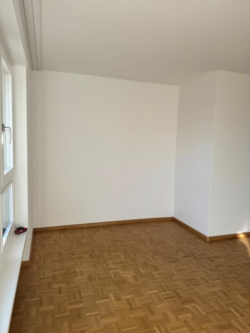 Appartamento 3.5 locali in affitto a Reinach (4)