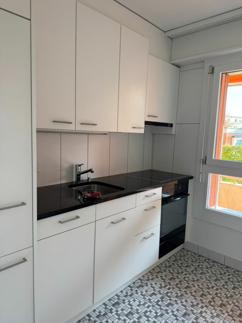 Appartamento 3.5 locali in affitto a Reinach (7)