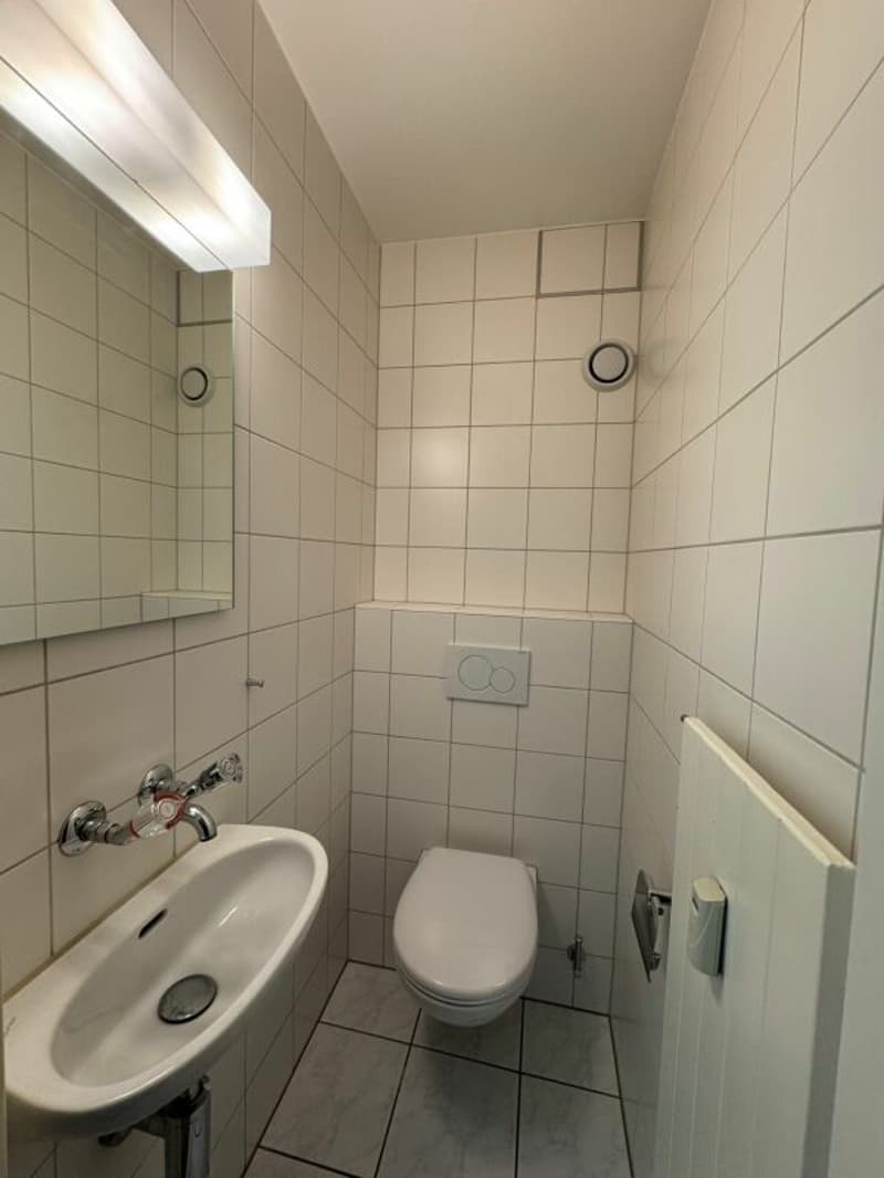 Appartamento 3.5 locali in affitto a Reinach (9)