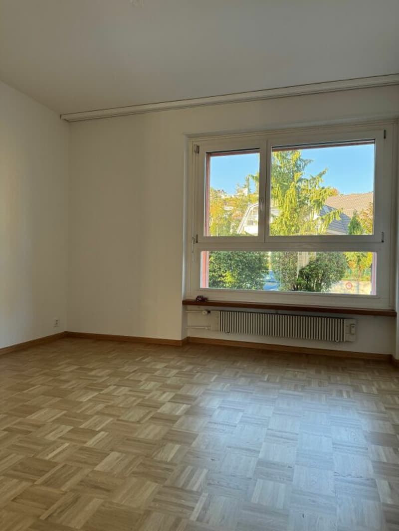 Appartamento 3.5 locali in affitto a Reinach (3)