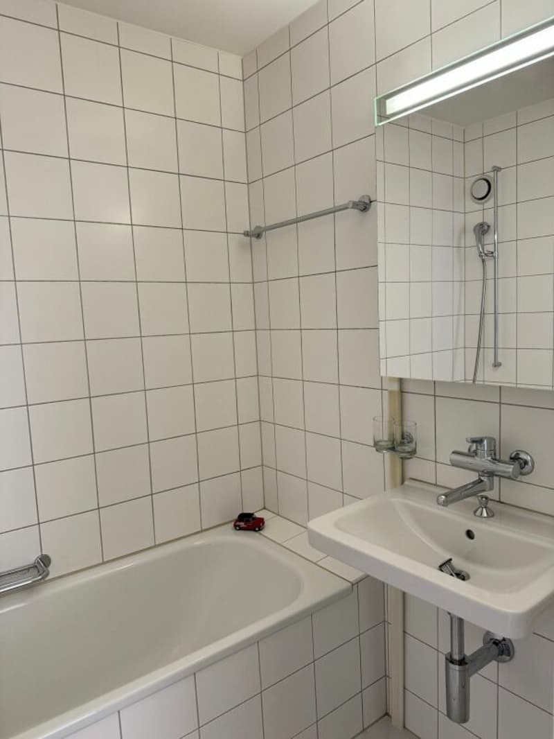 Appartamento 3.5 locali in affitto a Reinach (8)