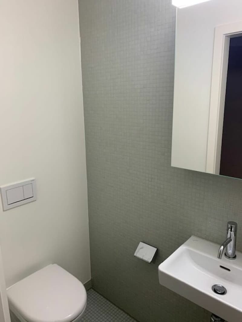 Charmante, sanierte 2-Zimmerwohnung - mitten in Basel (6)