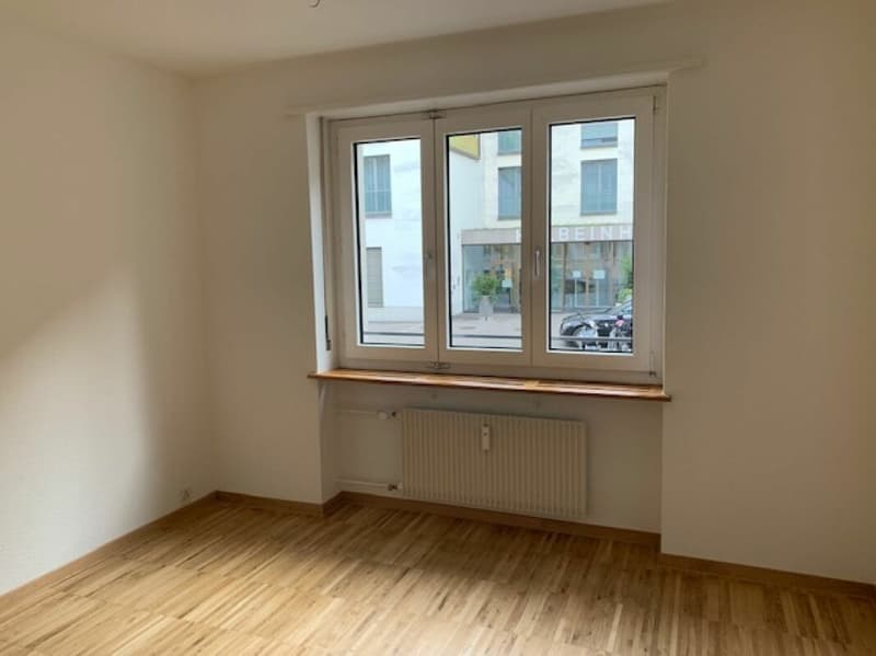 Charmante, sanierte 2-Zimmerwohnung - mitten in Basel (3)