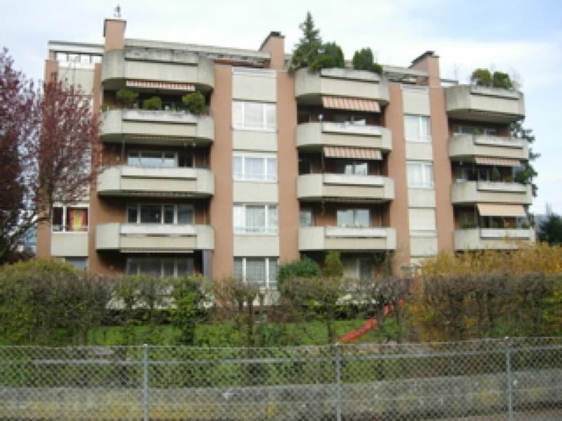 Hinterfassade, Sicht vom Coop her