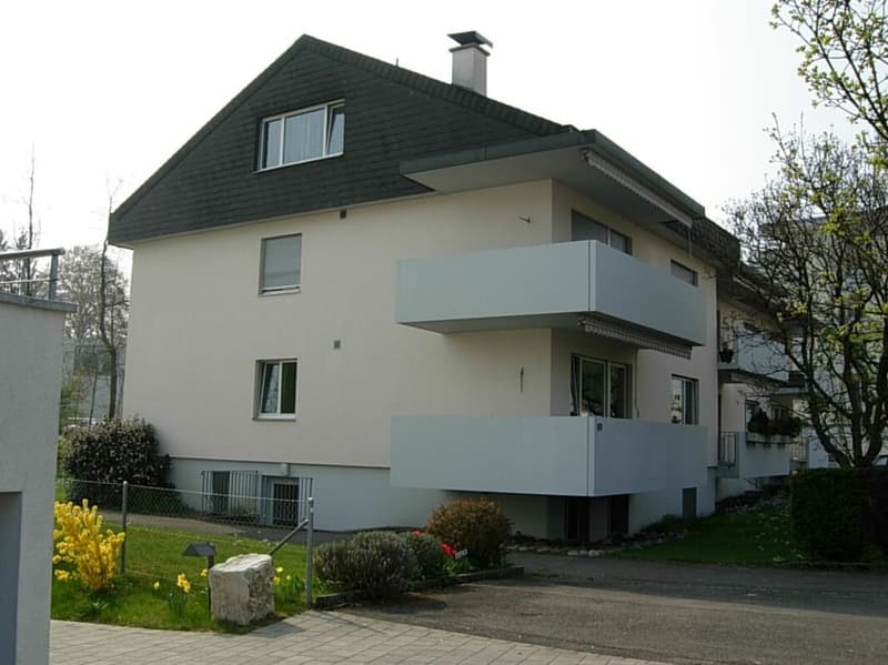 Grosszügige 3-Z'Wohnung im Herzen von Therwil - mit Balkon und Cheminée (7)