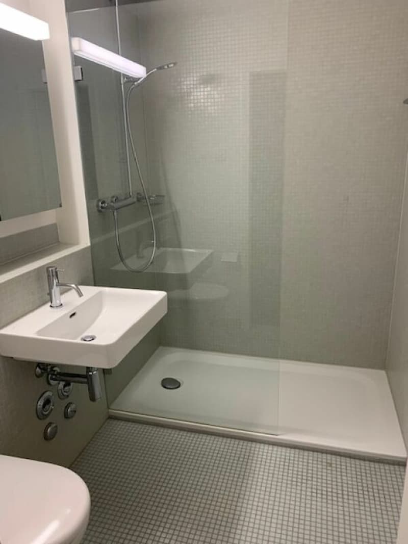 Moderne 4-Zimmerwohnung zu vermieten (6)