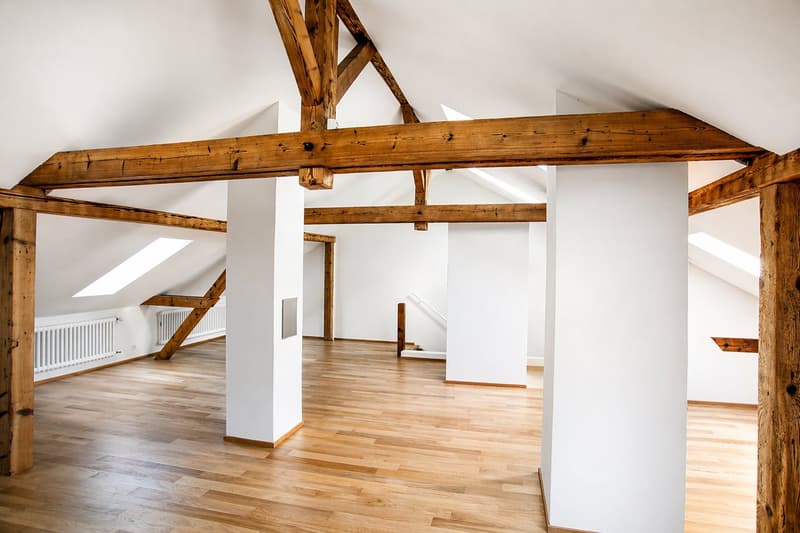 Charming 4-room maisonette apartment with stove in Basel (1)