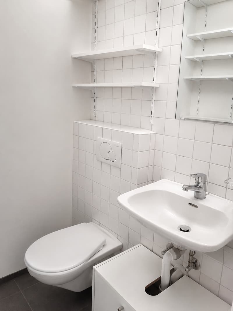Office/Commercial Space in Central Kleinbasel (3)