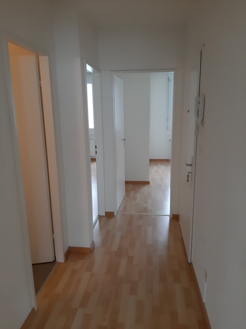 Vorplatz / Eingangsbereich