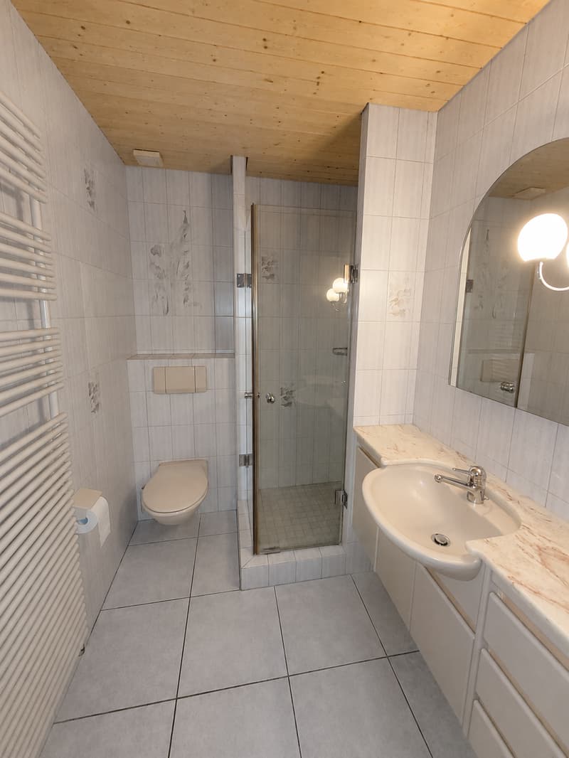 Badzimmer mit Dusche + WC
