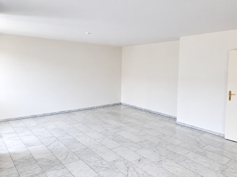 Grosszügige 3,5-Zimmer-Wohnung an zentraler Lage (Nähe Rhein, Universitätsspital, UKBB, Biozentrum) (3)
