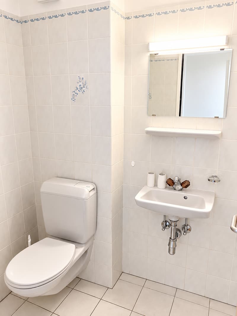 Bello e grande appartamento di 4 locali in affitto (10)