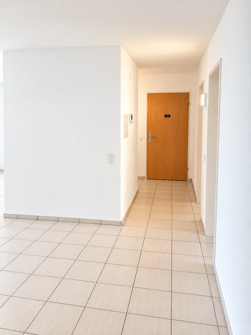 Bello e grande appartamento di 4 locali in affitto (12)