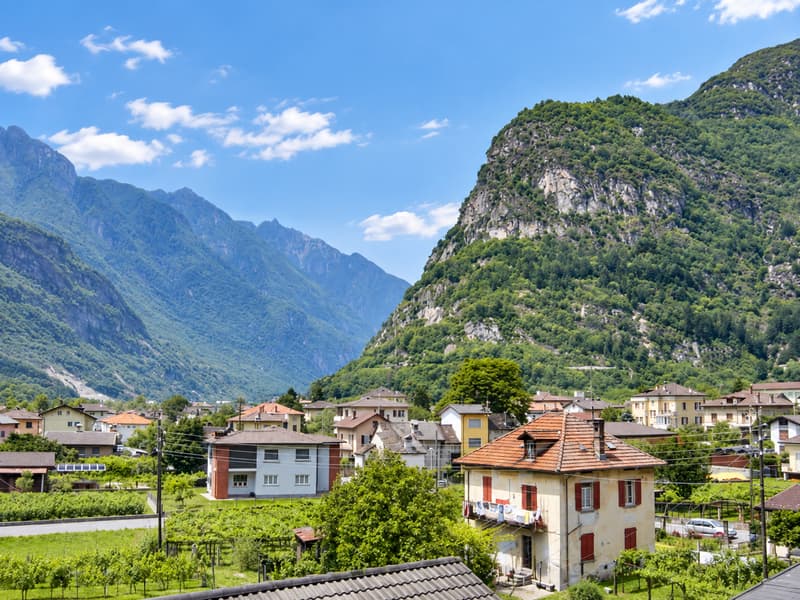 Bello e grande appartamento di 4 locali in affitto (14)