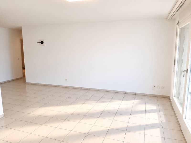 Bello e grande appartamento di 4 locali in affitto (3)