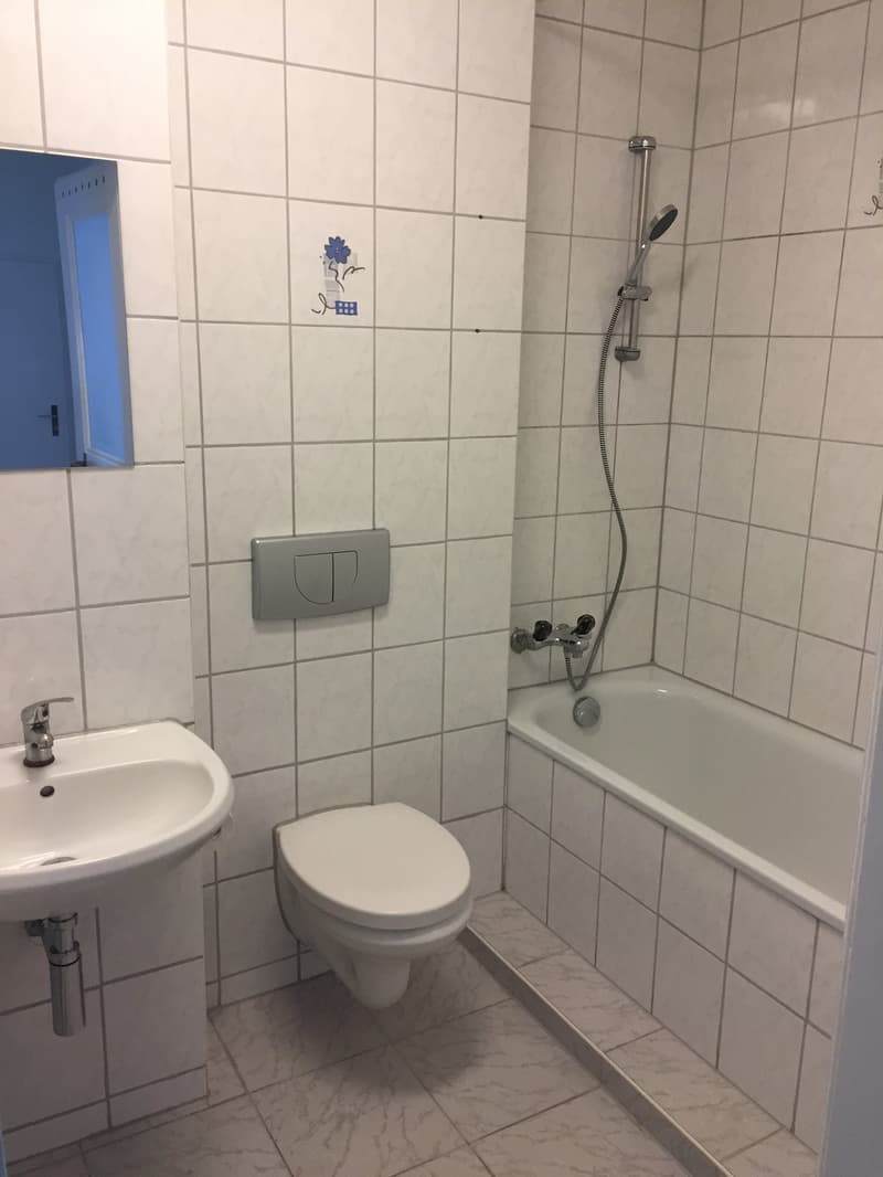 Gemütliche 3-Zimmer-Altbau-Wohnung im urbanen Kleinbasel (8)