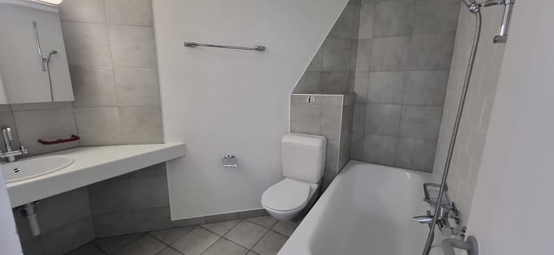 Charming 3-room apartment, high ground floor right, on the Schüss (11)
