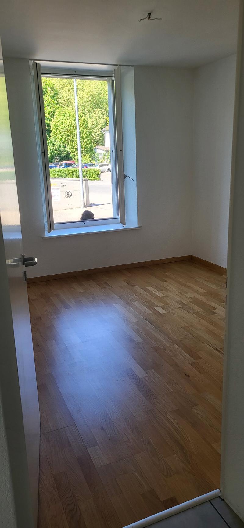 Charming 3-room apartment, high ground floor right, on the Schüss (7)