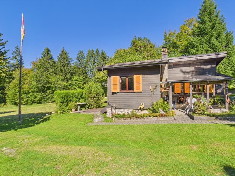 Detached house, wood exterior, orange shutters, covered terrace, flagpole, garden, lawn, trees